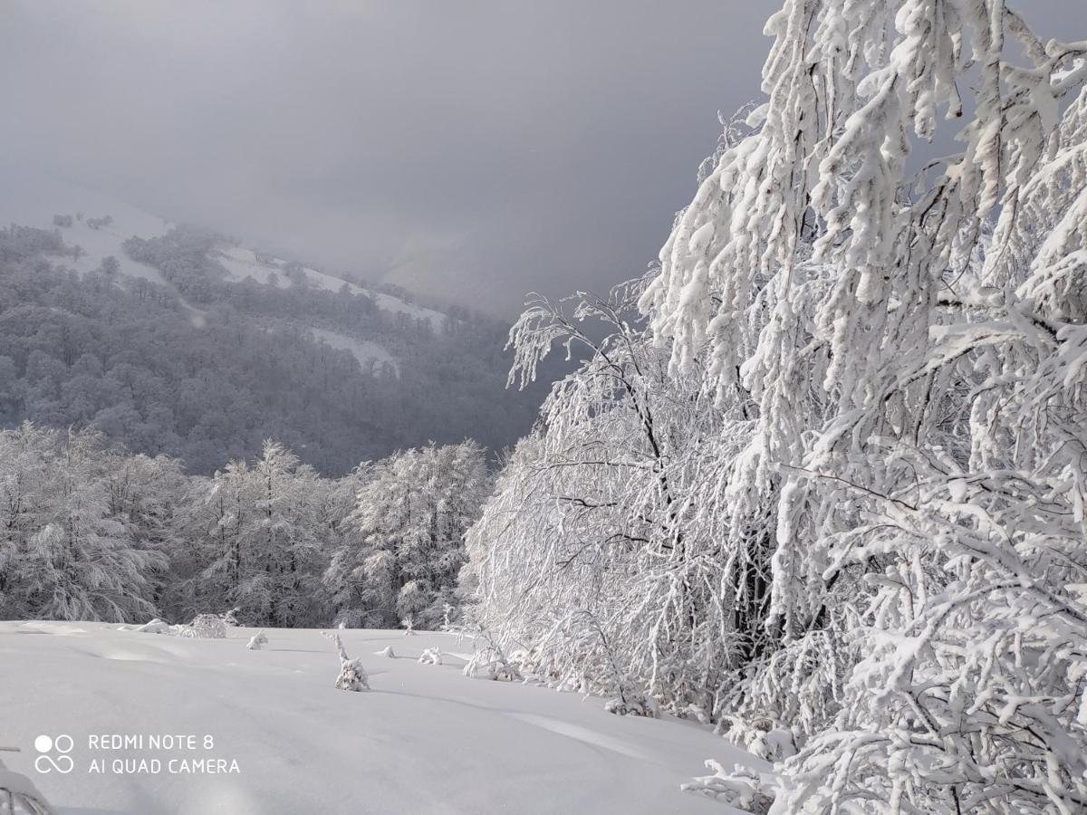 Sadyba Gostynniy Dvir Izky Exteriér fotografie