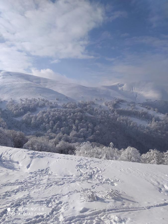 Sadyba Gostynniy Dvir Izky Exteriér fotografie